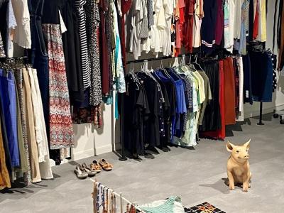 Second Fish - Second-hand Clothing in Aargau