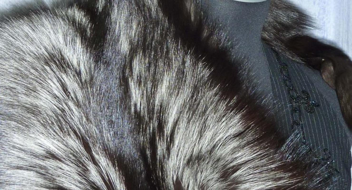 Ma fourrure - Upcycling-Mode in Wallis