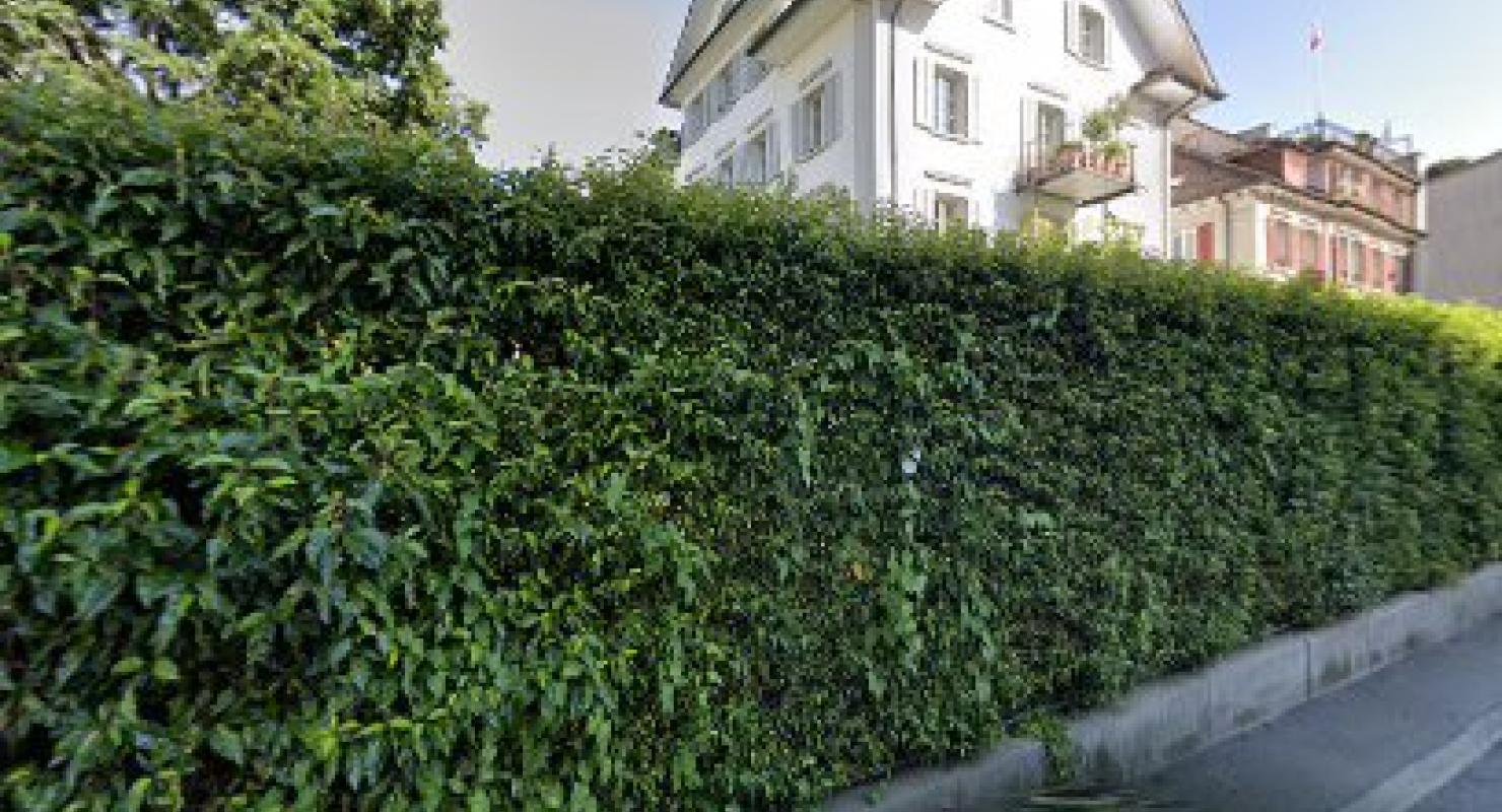 Damat Tween - Abbigliamento di seconda mano in Lucerna