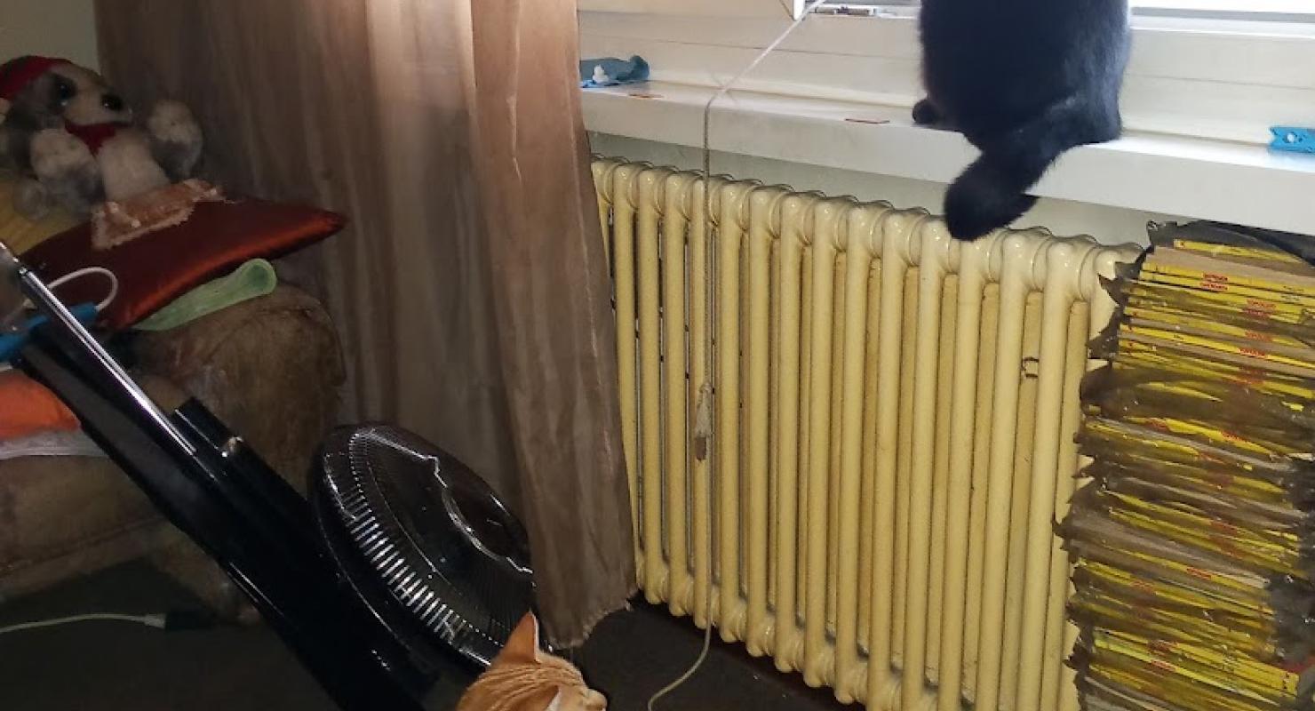 Via vela 47 - Mode upcyclée in Tessin