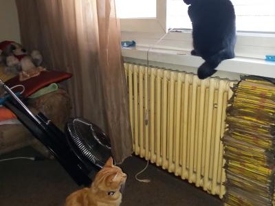 Via vela 47 - Mode upcyclée au Tessin