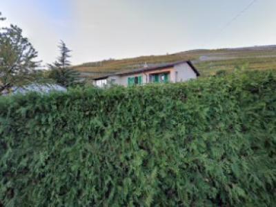 Mrs. Sylvie Riedo Tailleur - Mode upcyclée en Vaud