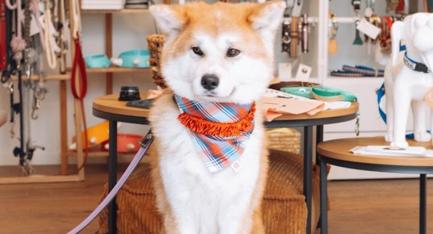 Woof & Woman - Repair & Alteration in Vaud