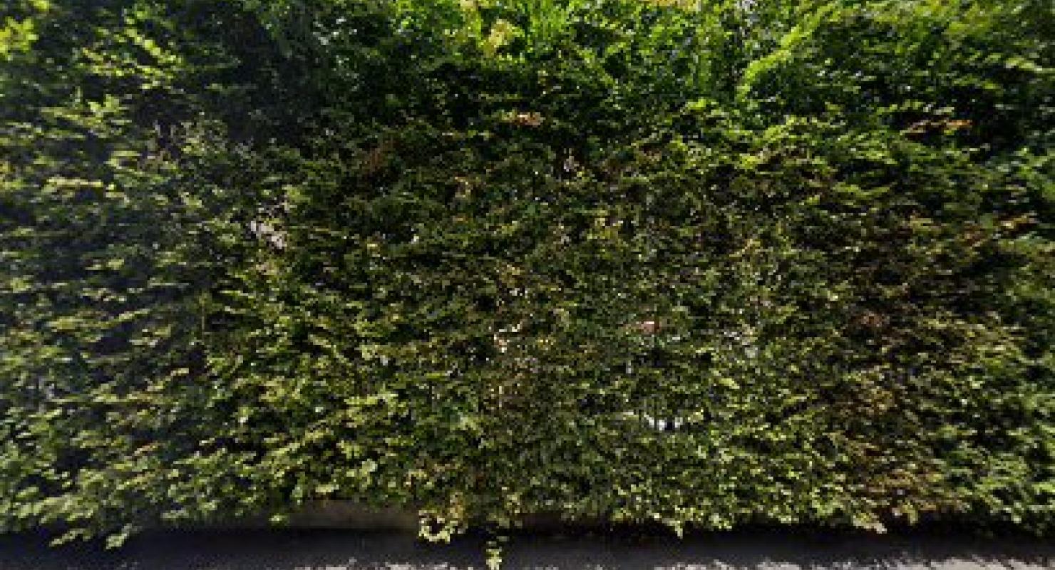 Amatucci Yolanda - Upcycled Fashion in Bern