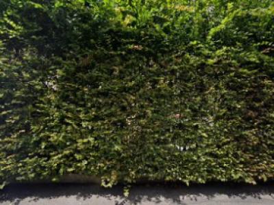 Amatucci Yolanda - Upcycling-Mode in Bern