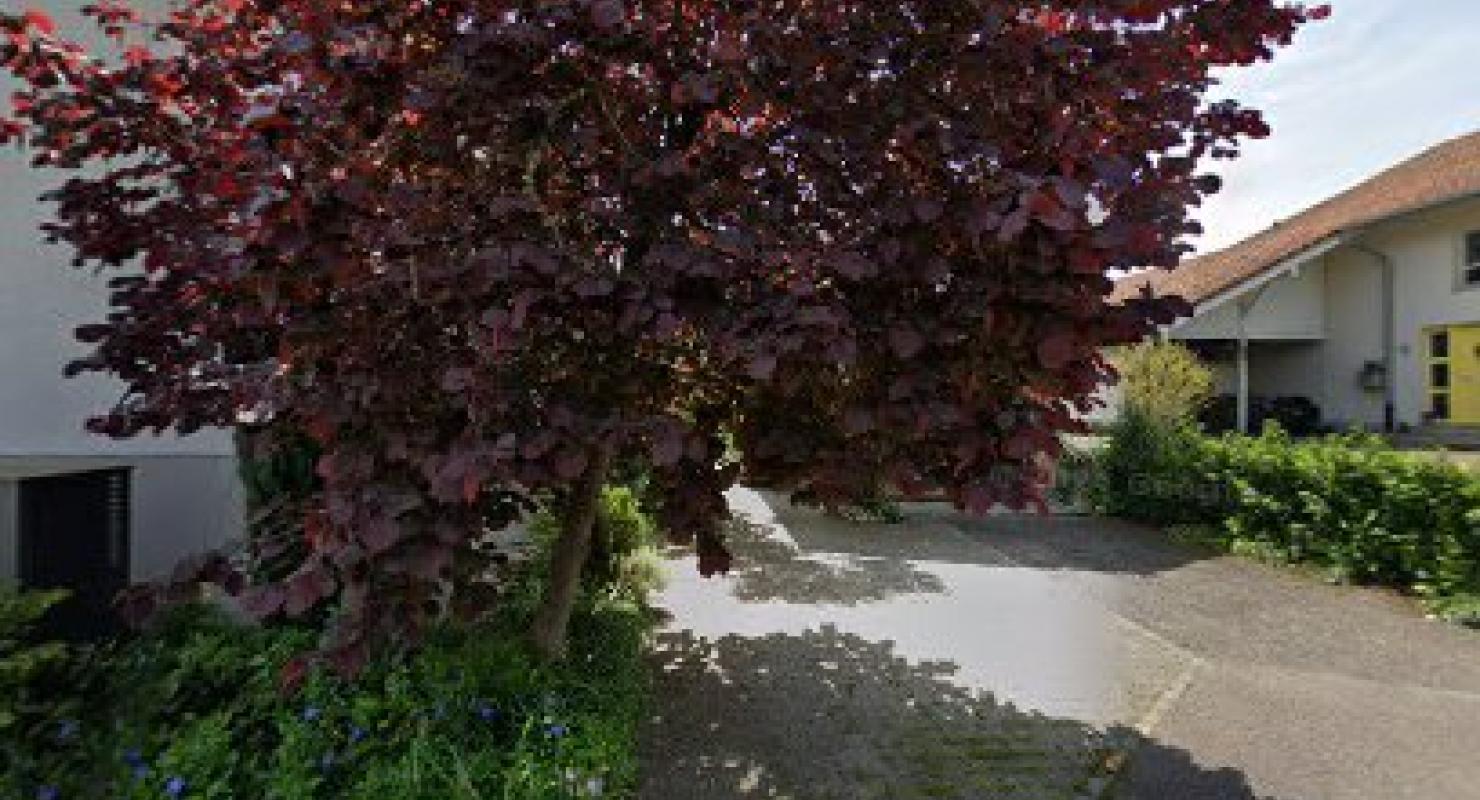 So farbig Stickerei und kreatives aus Stoff - Upcycling-Mode in Bern