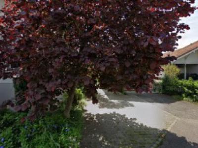 So farbig Stickerei und kreatives aus Stoff - Upcycling-Mode in Bern