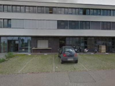 Dobermen - Moda upcycled in Zurigo