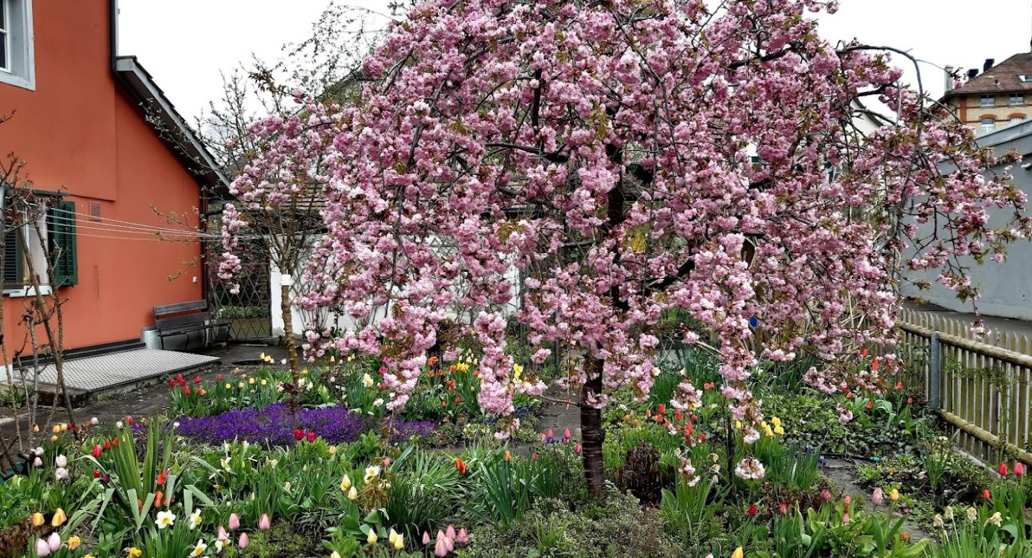 Unikum - Vêtements de seconde main in Zurich