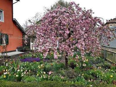 Unikum - Abbigliamento di seconda mano in Zurigo