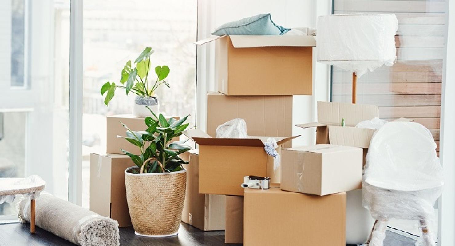 Entrümpeln-Befreit - Elcarpar Online Verkaufsservice Kleiderannahme Premium First & Secondhand - Vêtements de seconde main in Zurich