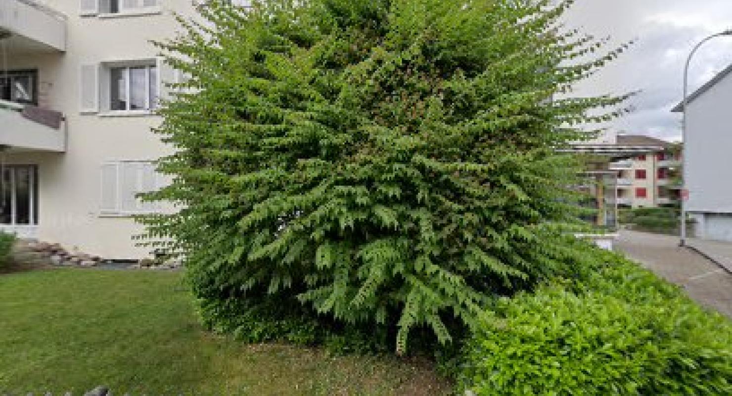 schwebas - Mode upcyclée in Zurich