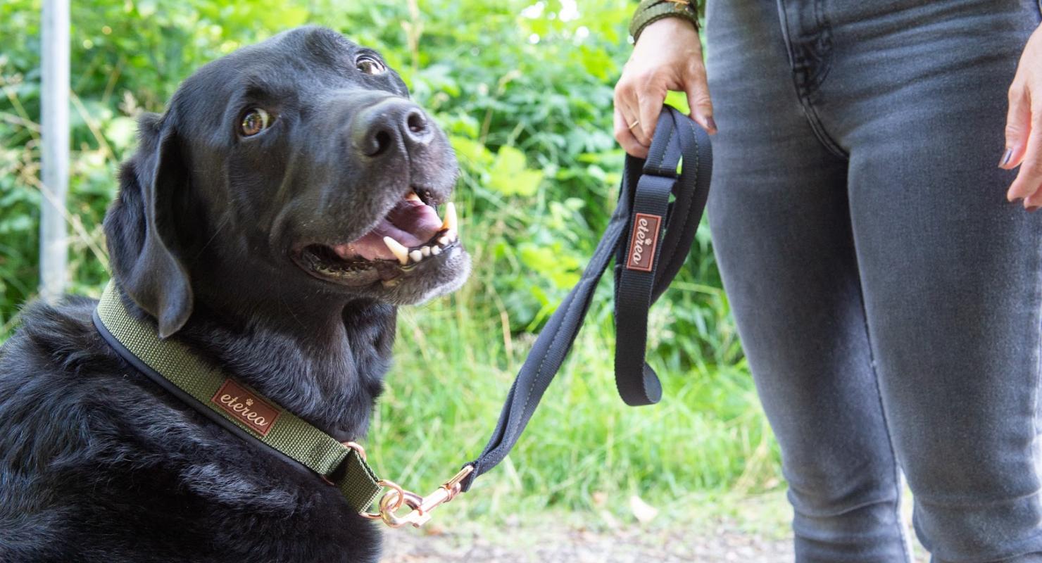 etereo - Upcycling-Mode in Zürich