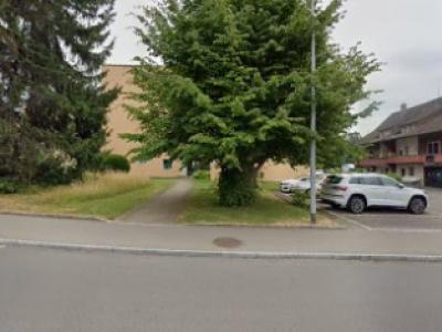 Mrs. Erna Suter Tailleur - Upcycling-Mode in Zürich