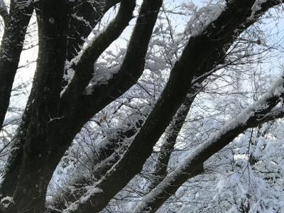 Brockenstube Stauffacherinnenbund - Abbigliamento di seconda mano in Zurigo