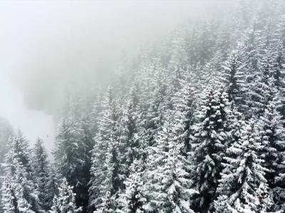 namuk GmbH - Abbigliamento di seconda mano in Zurigo